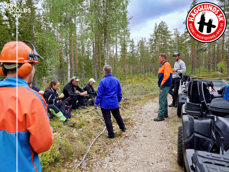 Röjning Skyttis spårområde
